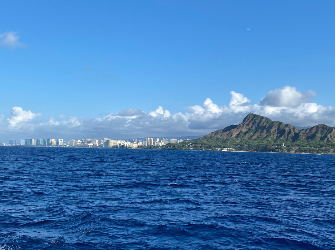 Pink Sails Waikiki-火奴鲁鲁必去景点