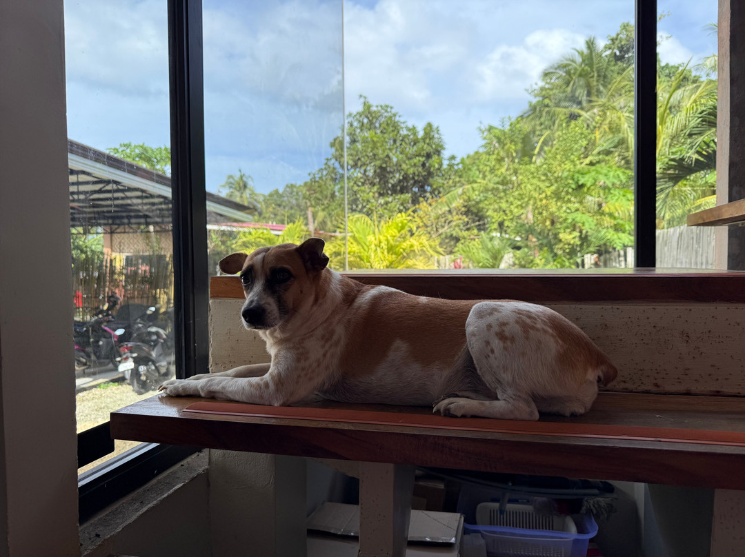 Freedive Academy Panglao-Panglao必去景点