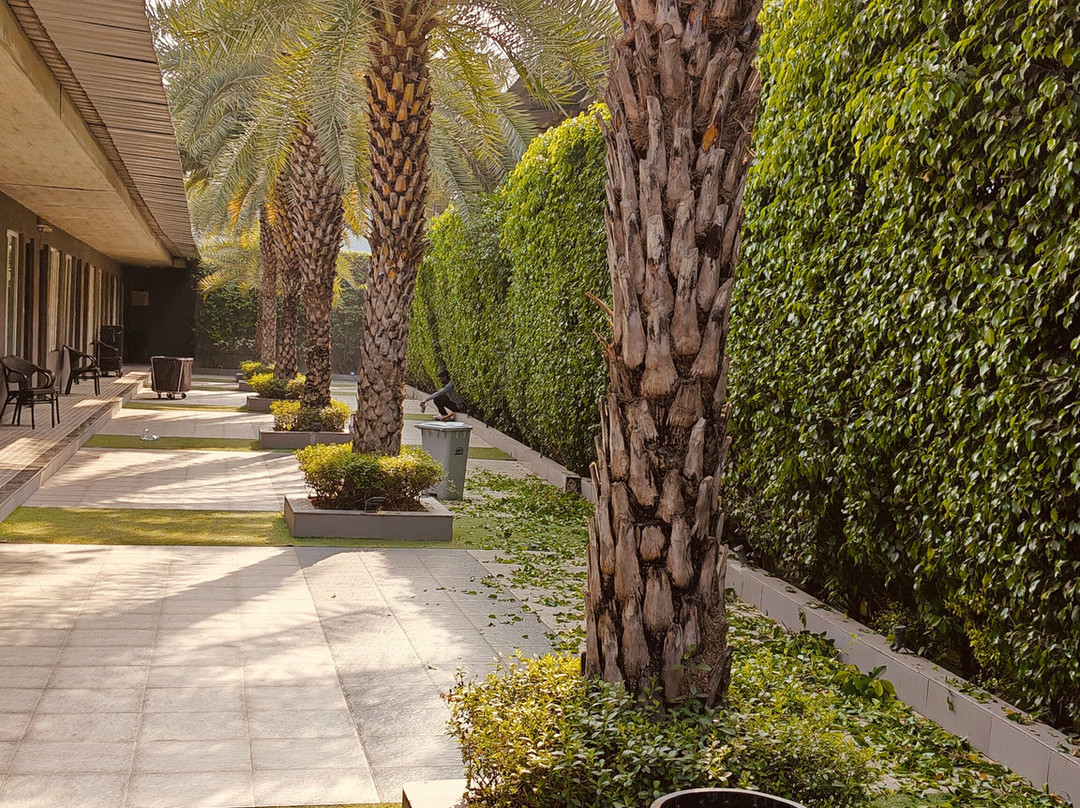 Kingston Resort主图