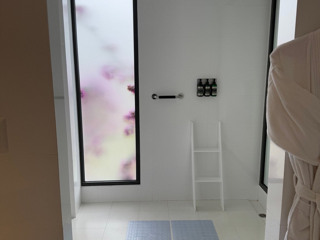 Golden Bay Galapagos主图