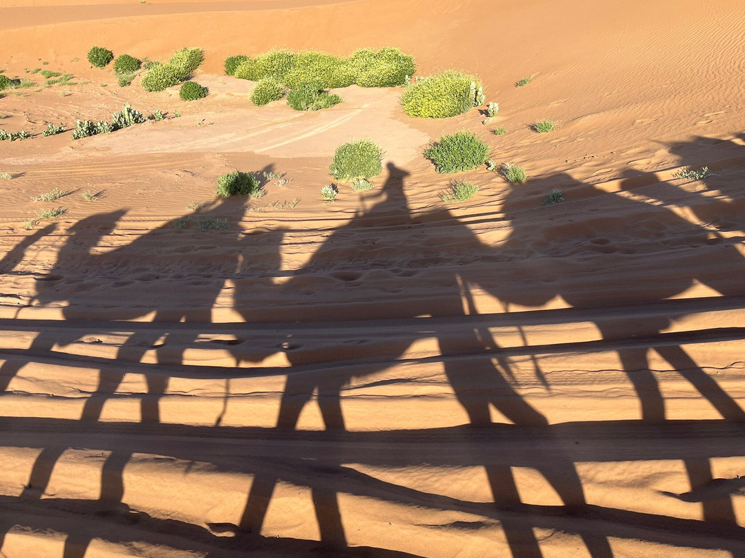 Morocco Ecotours-马拉喀什必去景点