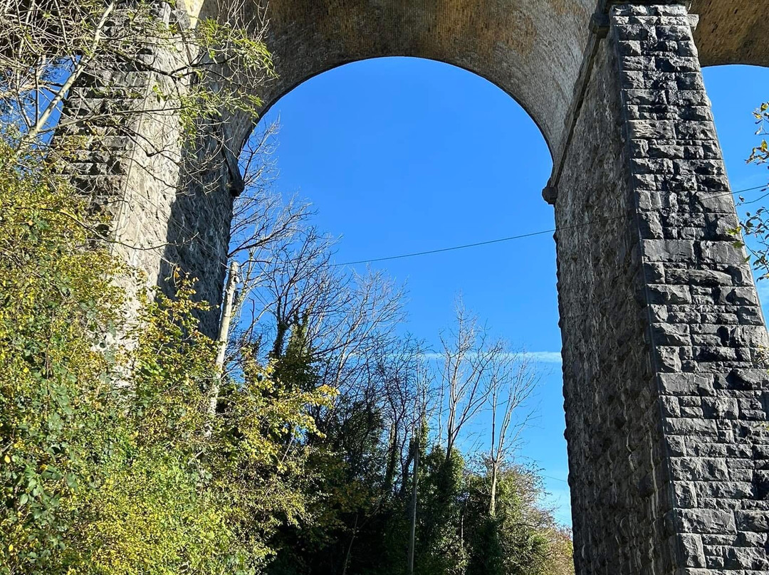 Cefn Coed Viaduct景点图片