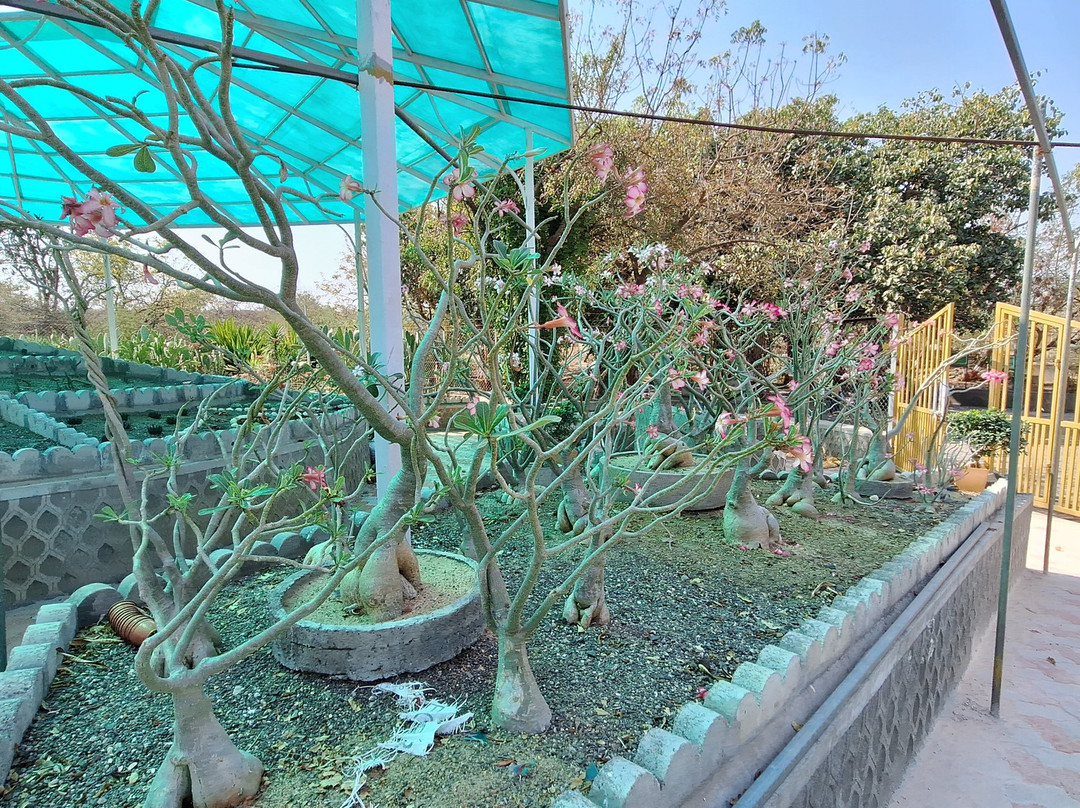 Hingolgadh Nature Education Sanctuary景点图片