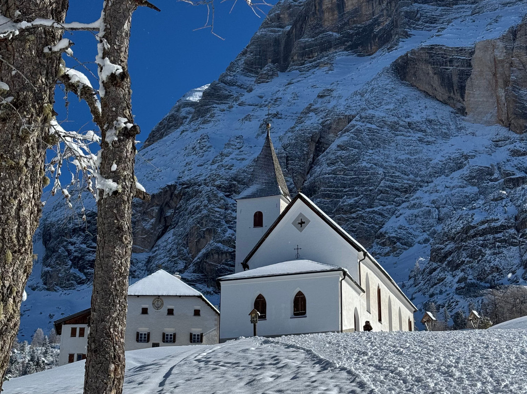 Pensione Amalia主图