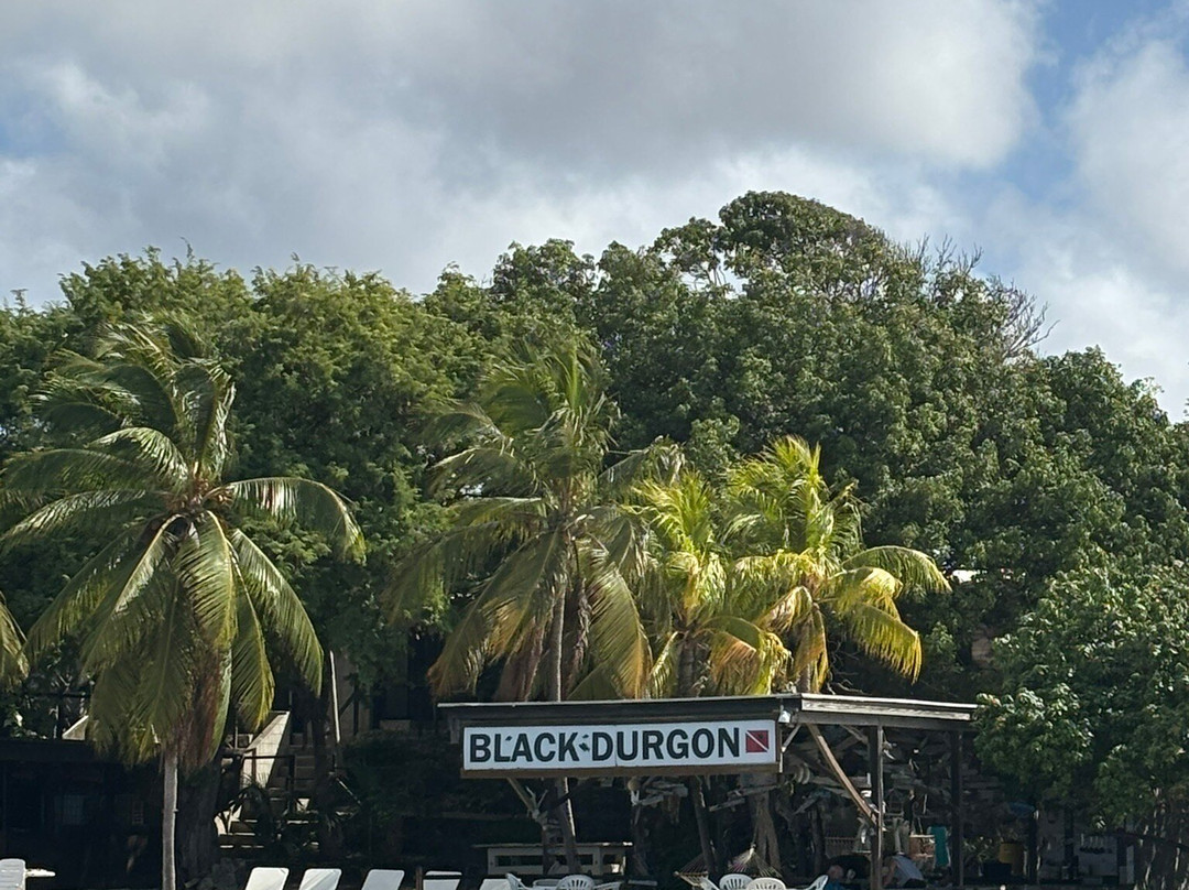 Blue Bay Bonaire-Kralendijk必去景点