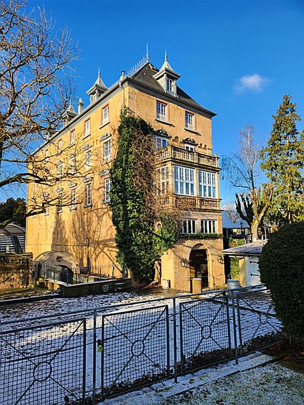 Hotel Schloss Edesheim主图