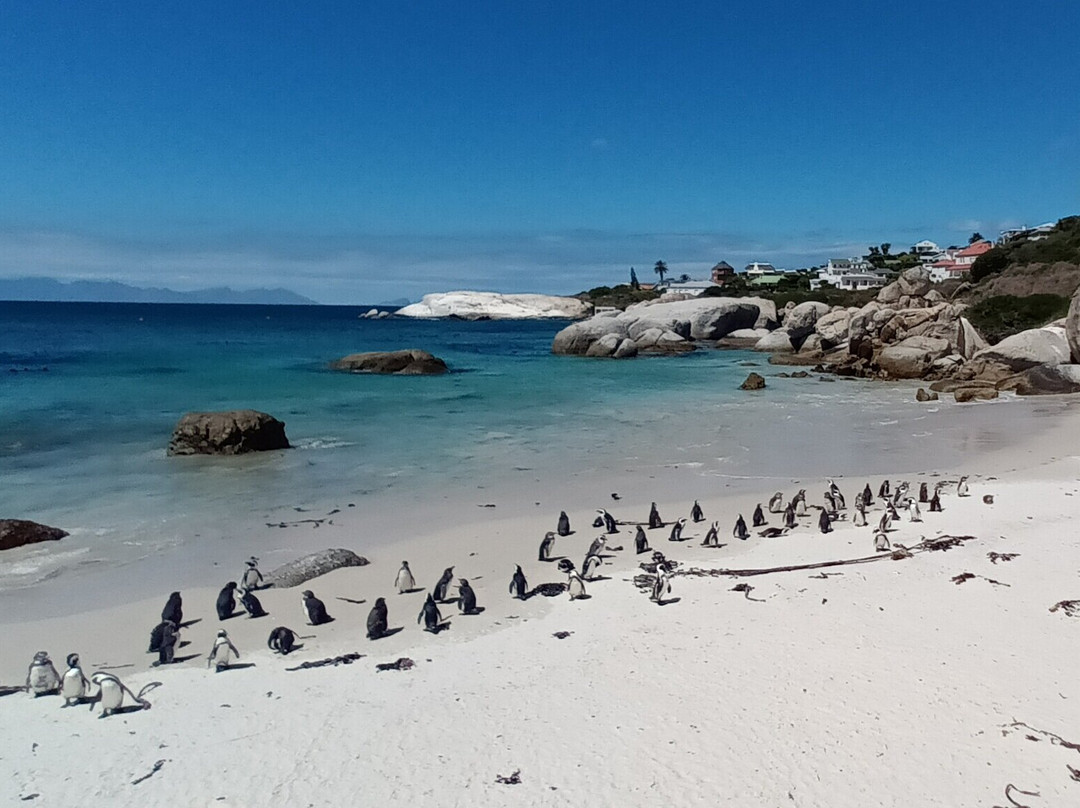 Simonstown Quayside Hotel主图