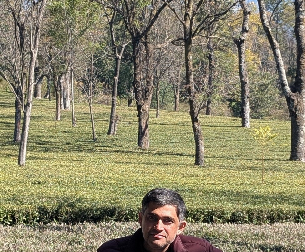 Wah Tea Estate景点图片