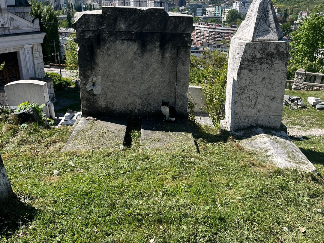 Jewish Cemetery Sarajevo-萨拉热窝必去景点