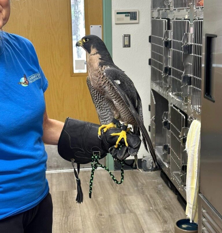 Moccasin Lake Nature Park-克利尔沃特必去景点