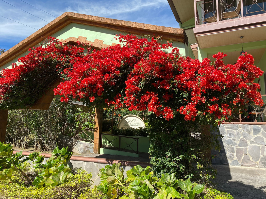 El Oasis Hotel & Restaurant主图