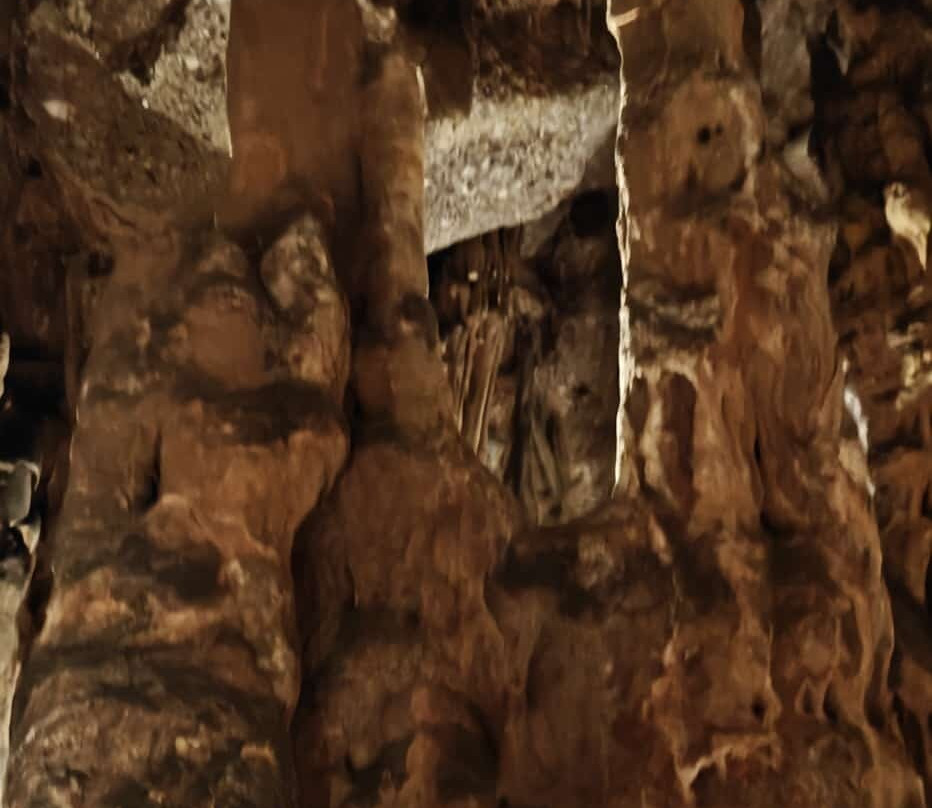 Coves Del Salnitre-Collbato必去景点