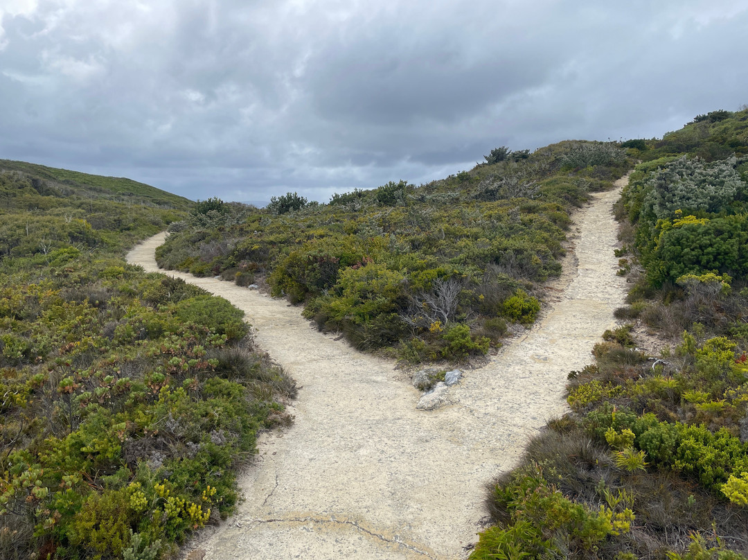 Sharp Point-奥尔巴尼必去景点