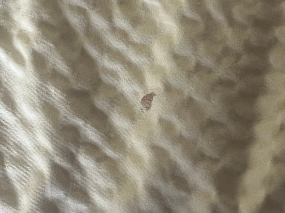 Ramada by Wyndham Spokane Valley主图