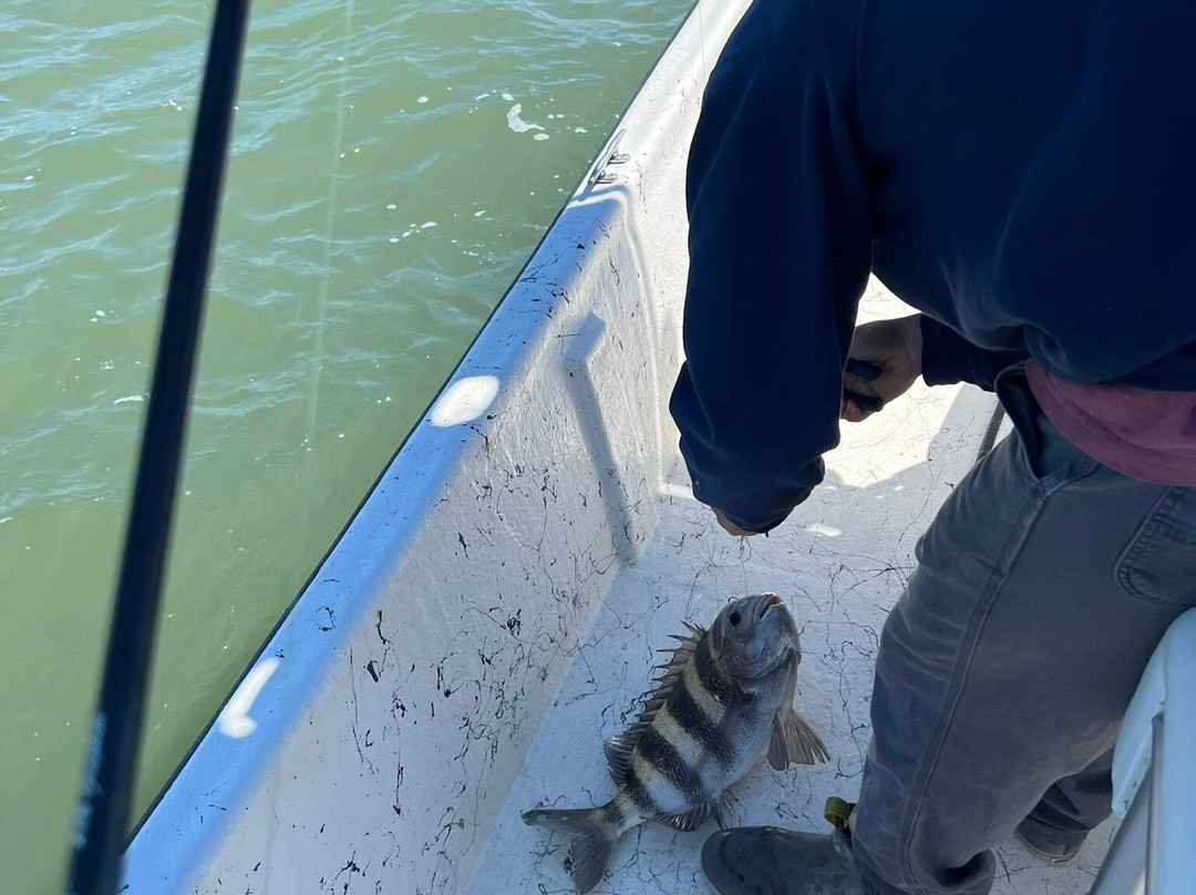 Off The Hook Charters-格尔夫海岸必去景点