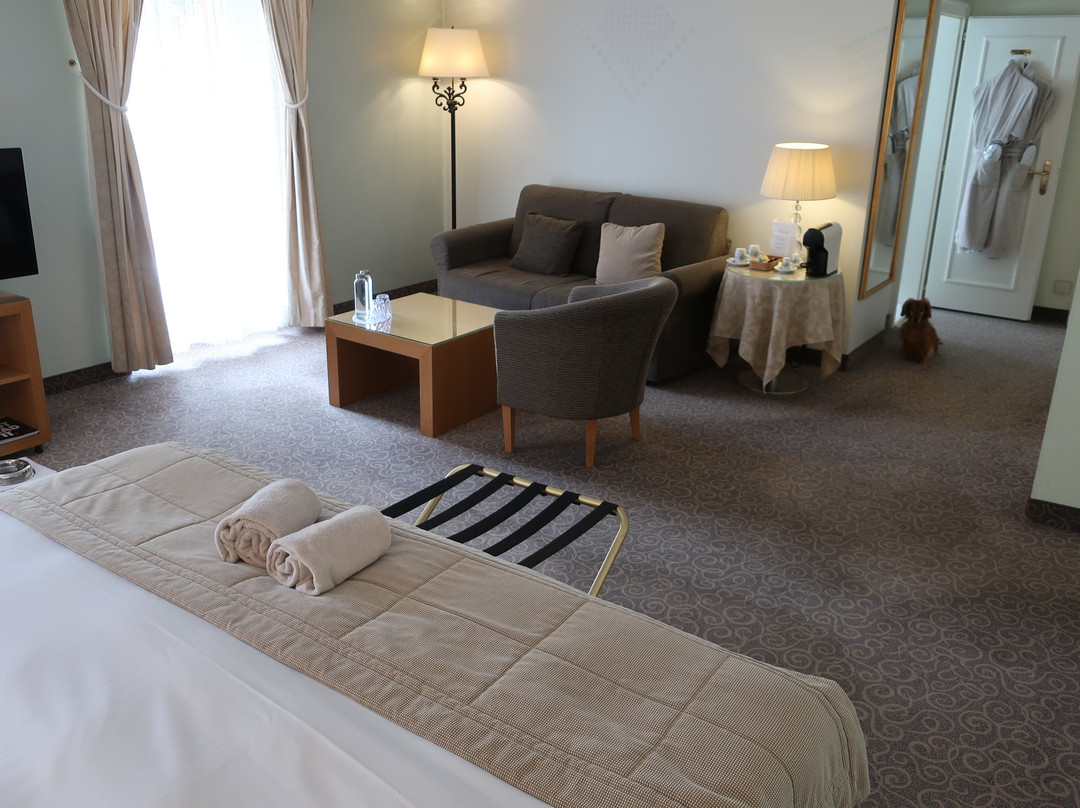 德索尔斯阿尔卑斯酒店主图