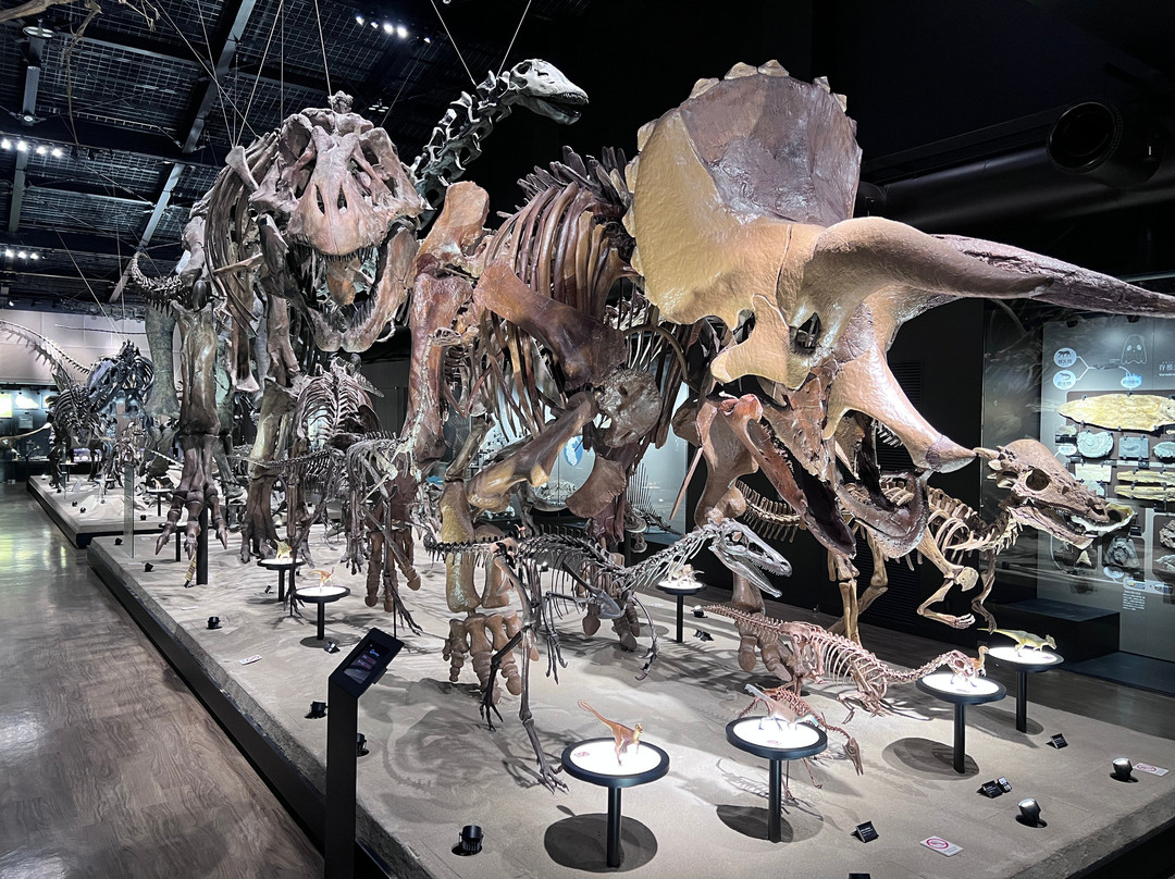 Mifune Dinosaur Museum-御船町必去景点