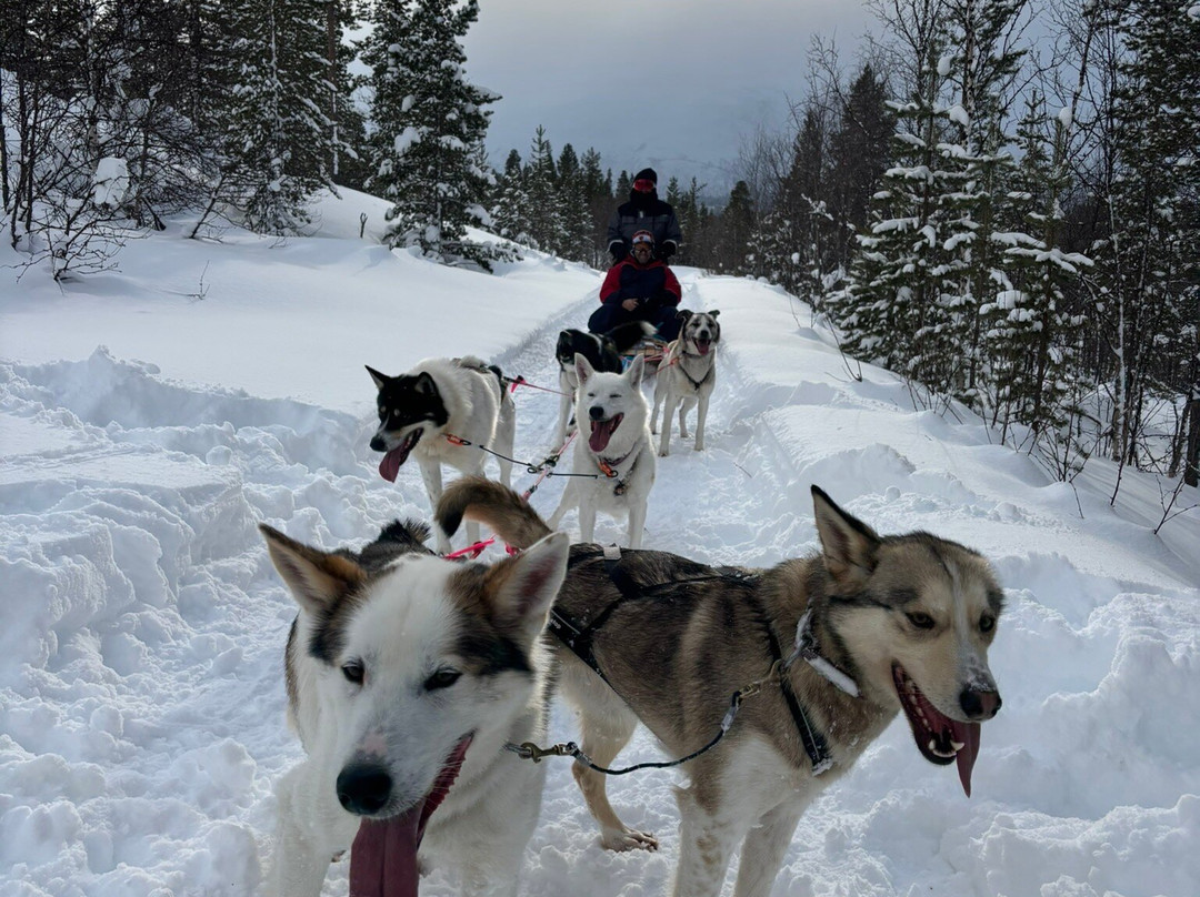 Hasselberg Husky AS-Storslett必去景点