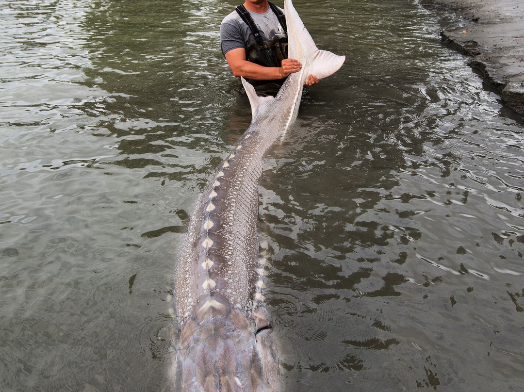 Matt Fishing Co.-米逊必去景点