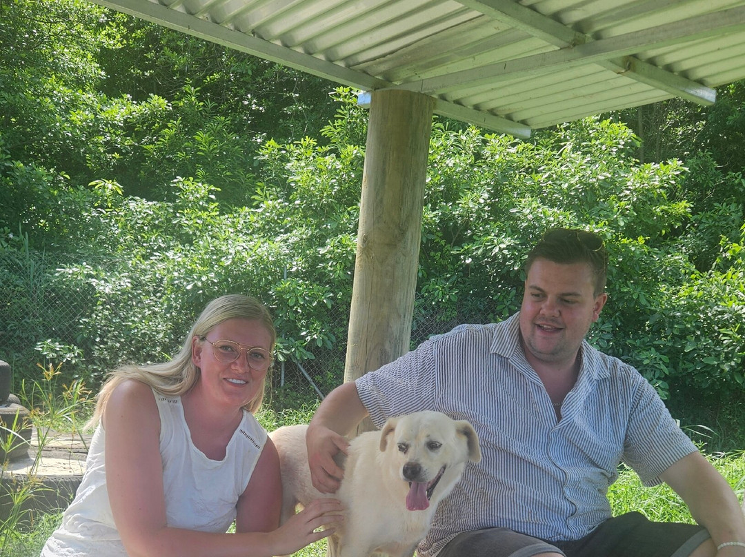 Happy Tails Dog Sanctuary-Baie du Cap必去景点