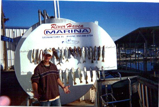 River Inn and Marina主图