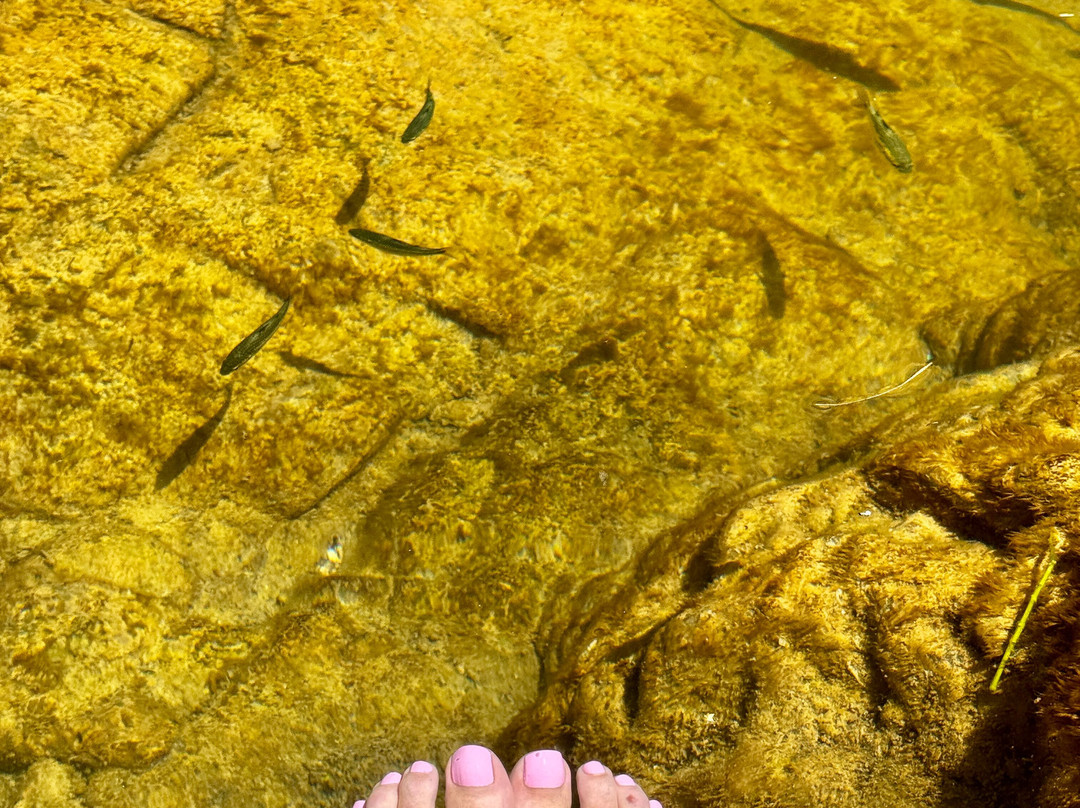 Horseback Riding Tours-特立尼达必去景点