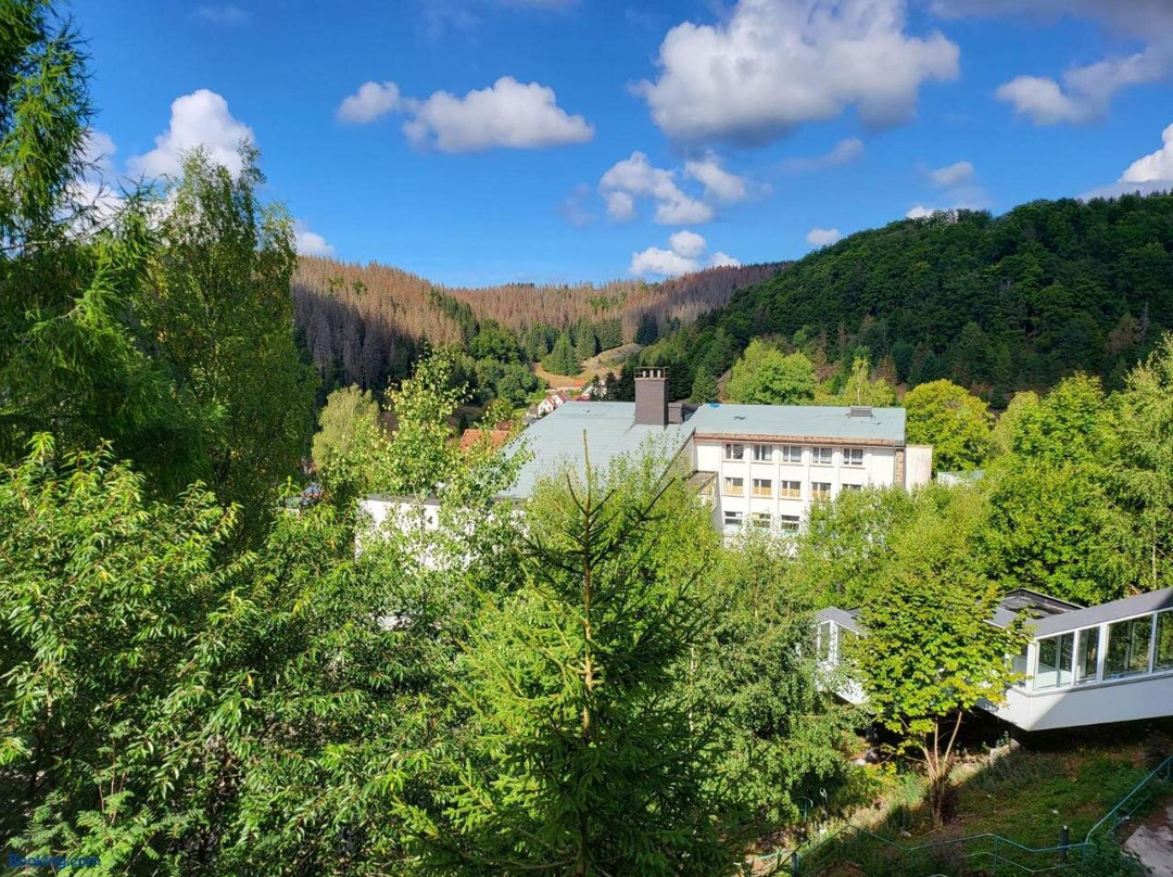 Werrapark Aktiv Hotel am Sommerberg