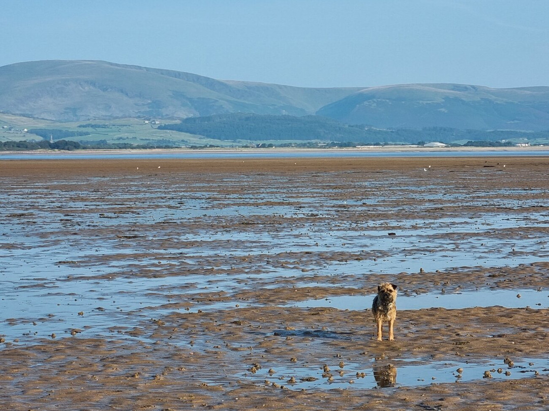 Roanhead Beach景点图片
