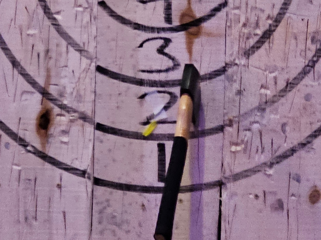 Bury the Hatchet Brooklyn - Axe Throwing-布鲁克林必去景点