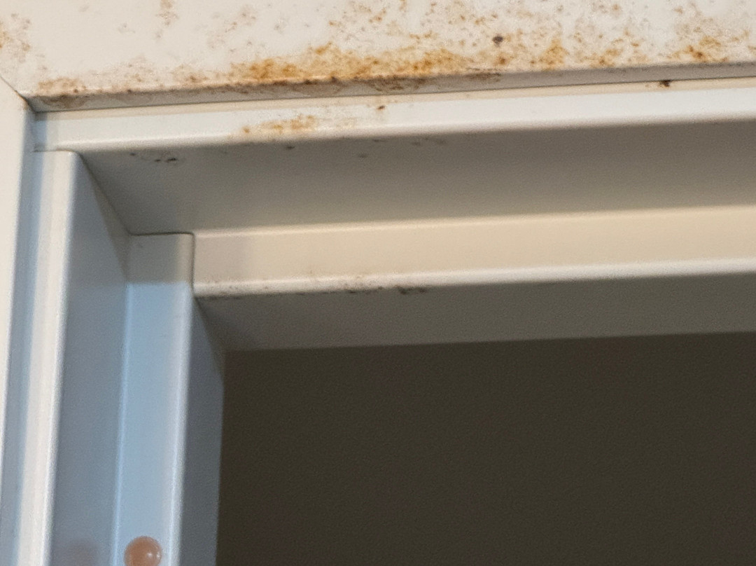 Comfort Suites Forsyth Near I-75主图