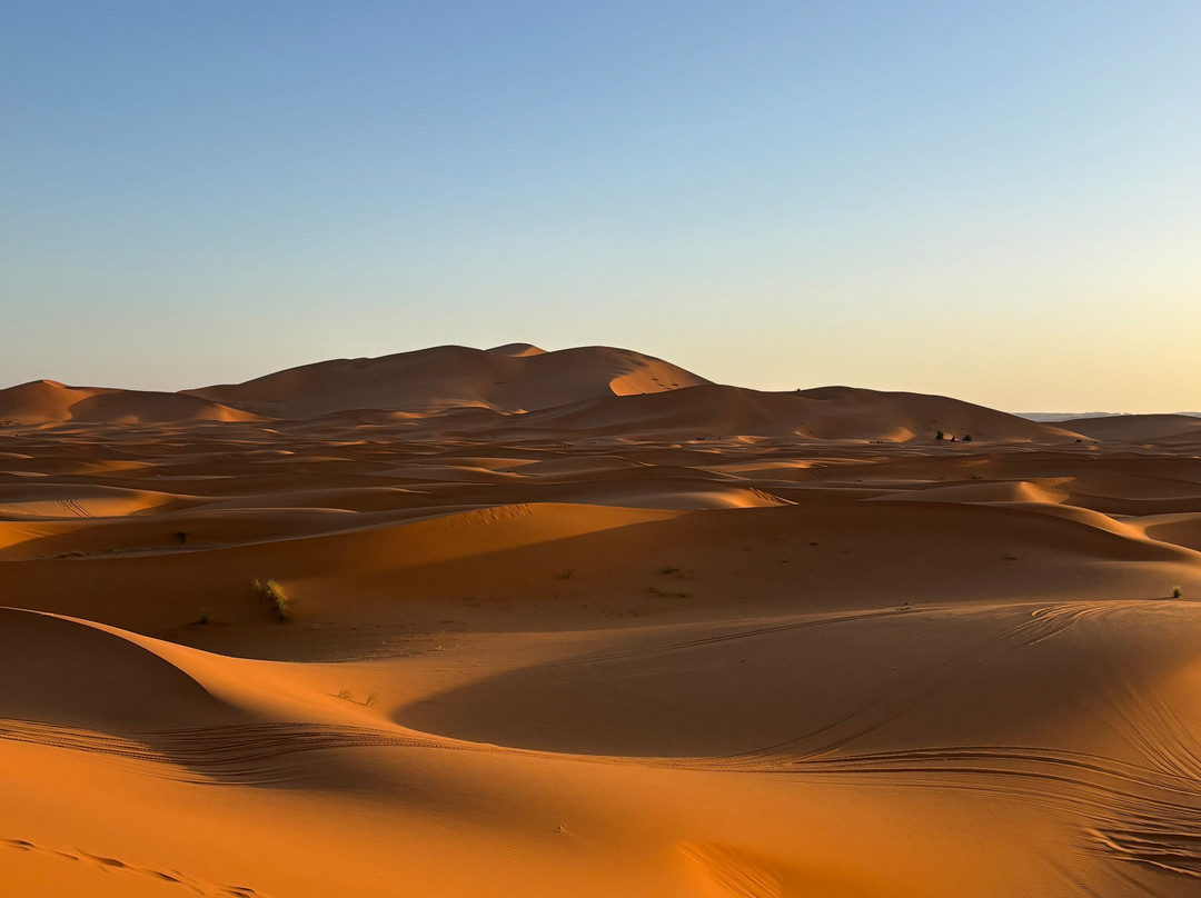 Sahara Dream Tours-伊拉悉迪亚必去景点