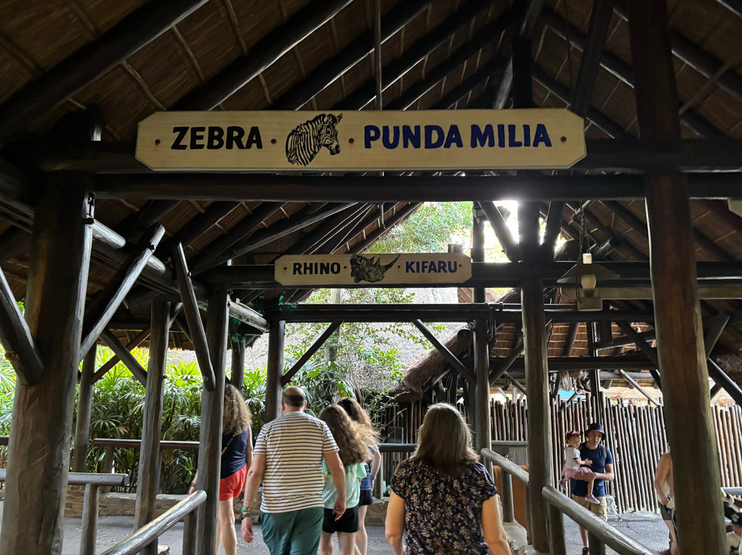 Kilimanjaro Safaris-奥兰多必去景点