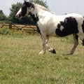 ruthj473