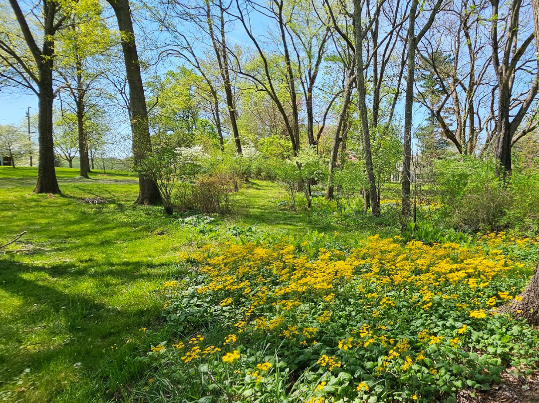 Oakdene Stables (summerfield)-Lutherville Timonium必去景点