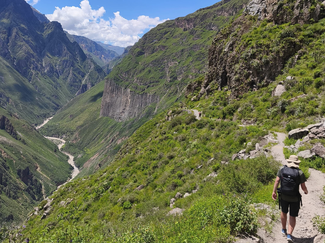 COLCA ONE DAY HIKE景点图片