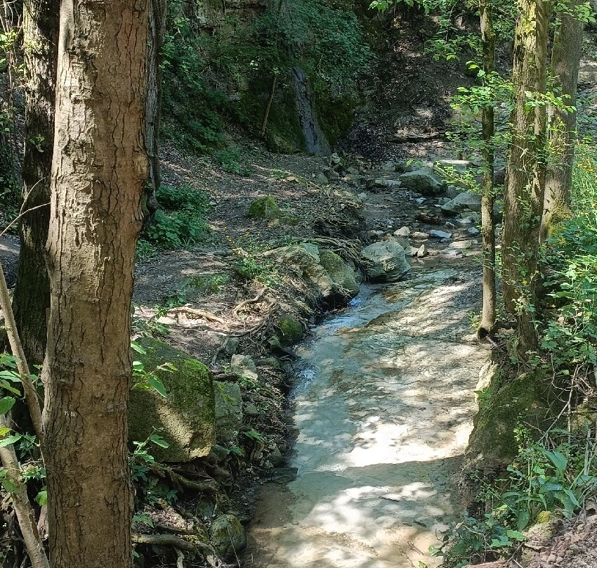 Cascata Schivanoia-Castelnuovo必去景点