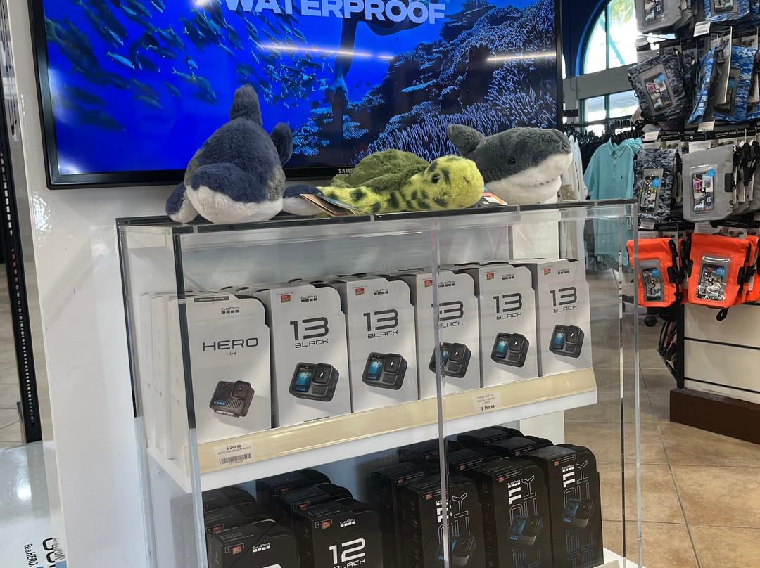 Divers Direct Key West-基韦斯特必去景点