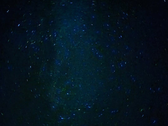 Morocco_pickup-弗吉尼亚市必去景点