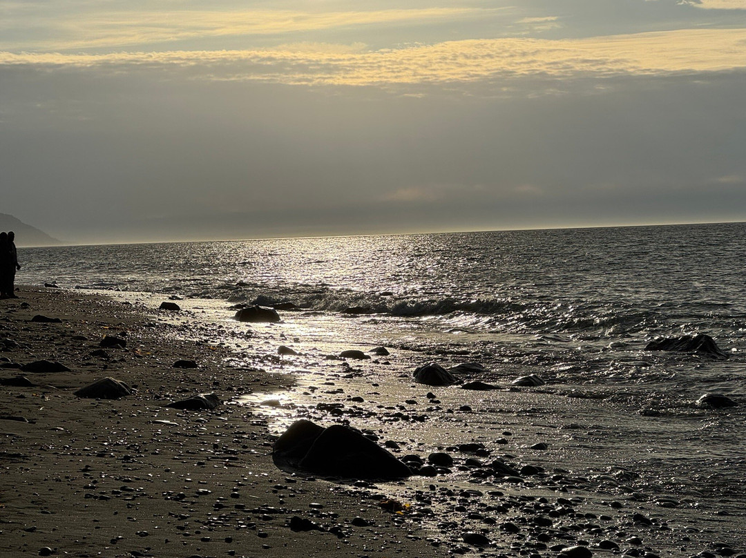 Ediz Hook Reserve-安吉利斯港必去景点