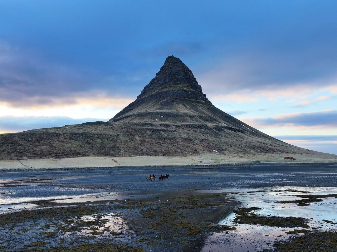 Kirkjufell Horse Center-格伦达菲厄泽必去景点
