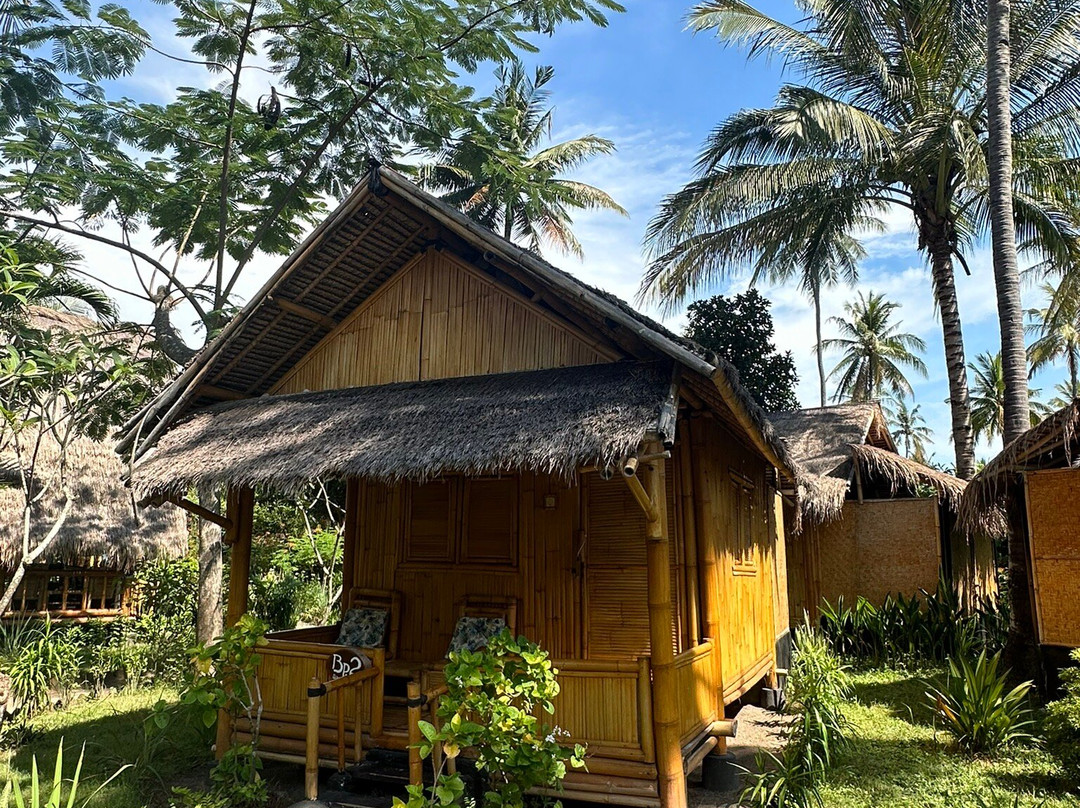 林加尼海滩生态度假酒店主图