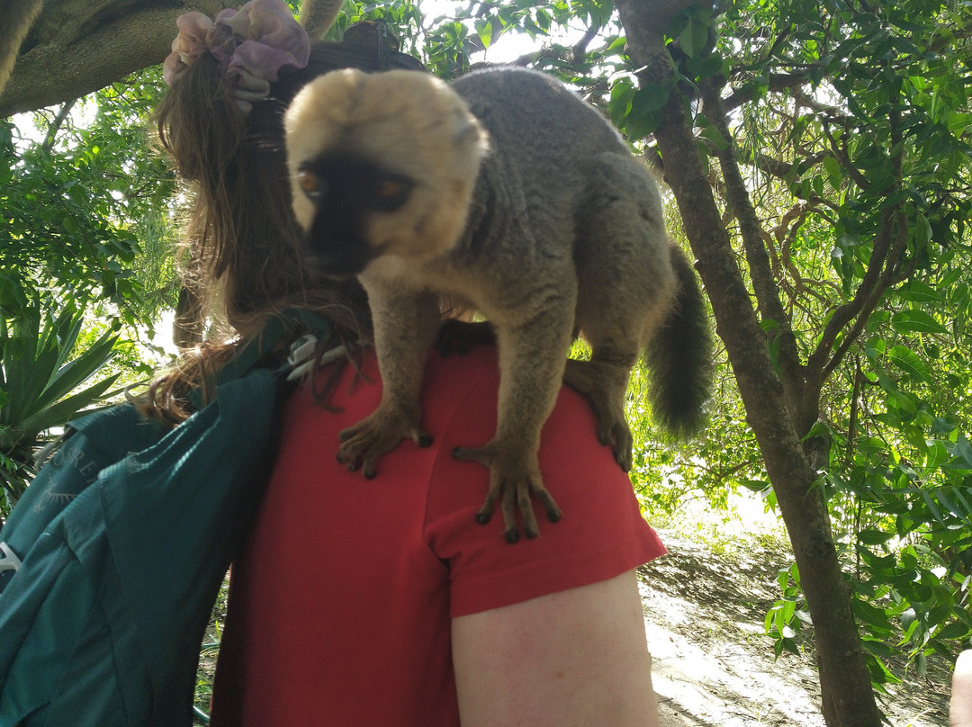 Madagascar Magic Tours-安齐拉贝必去景点
