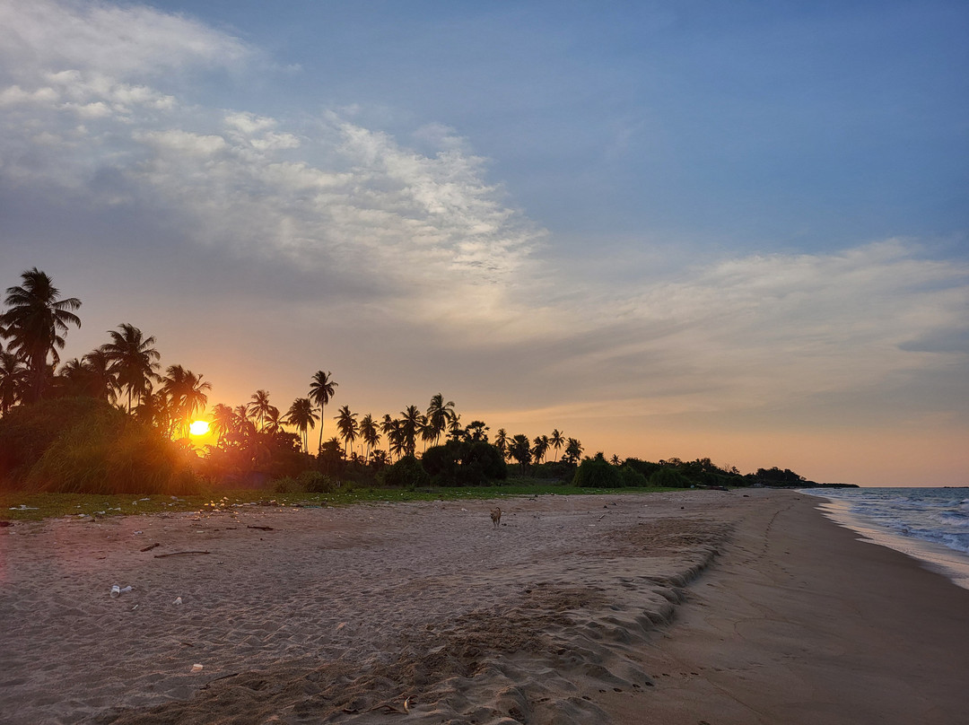 尼拉维利海滩度假酒店主图