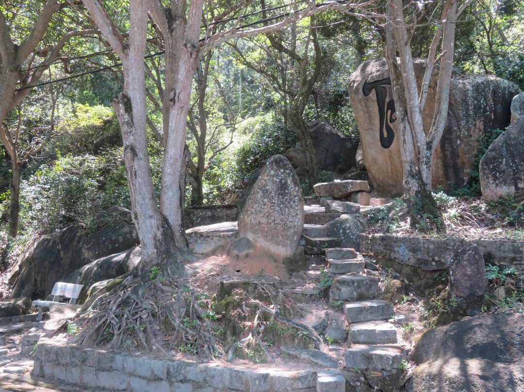 Park Ghenh Rang Tien Sa-归仁必去景点