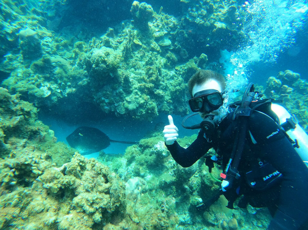 Scubacaribe Montego Bay-蒙特戈贝必去景点