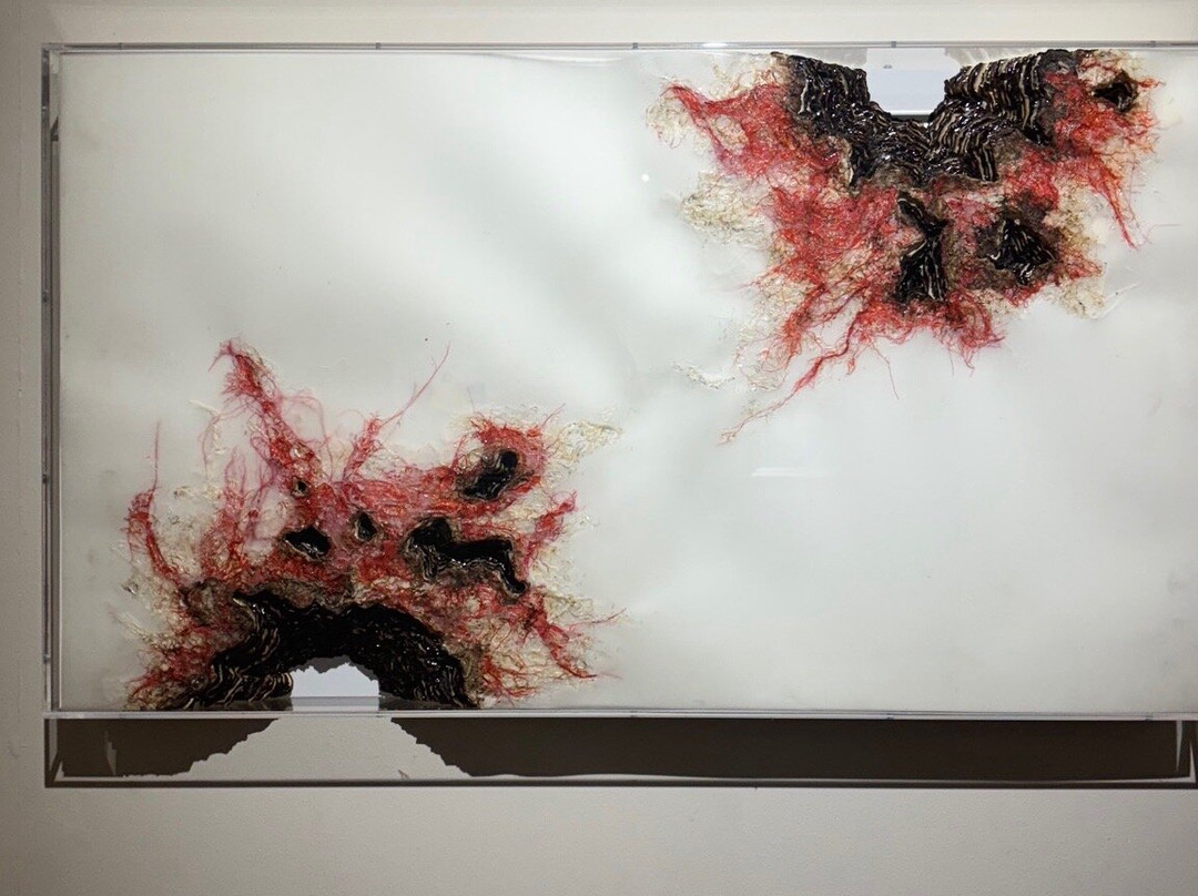 Musée du Patrimoine Amazigh d'Agadir-阿加迪尔必去景点