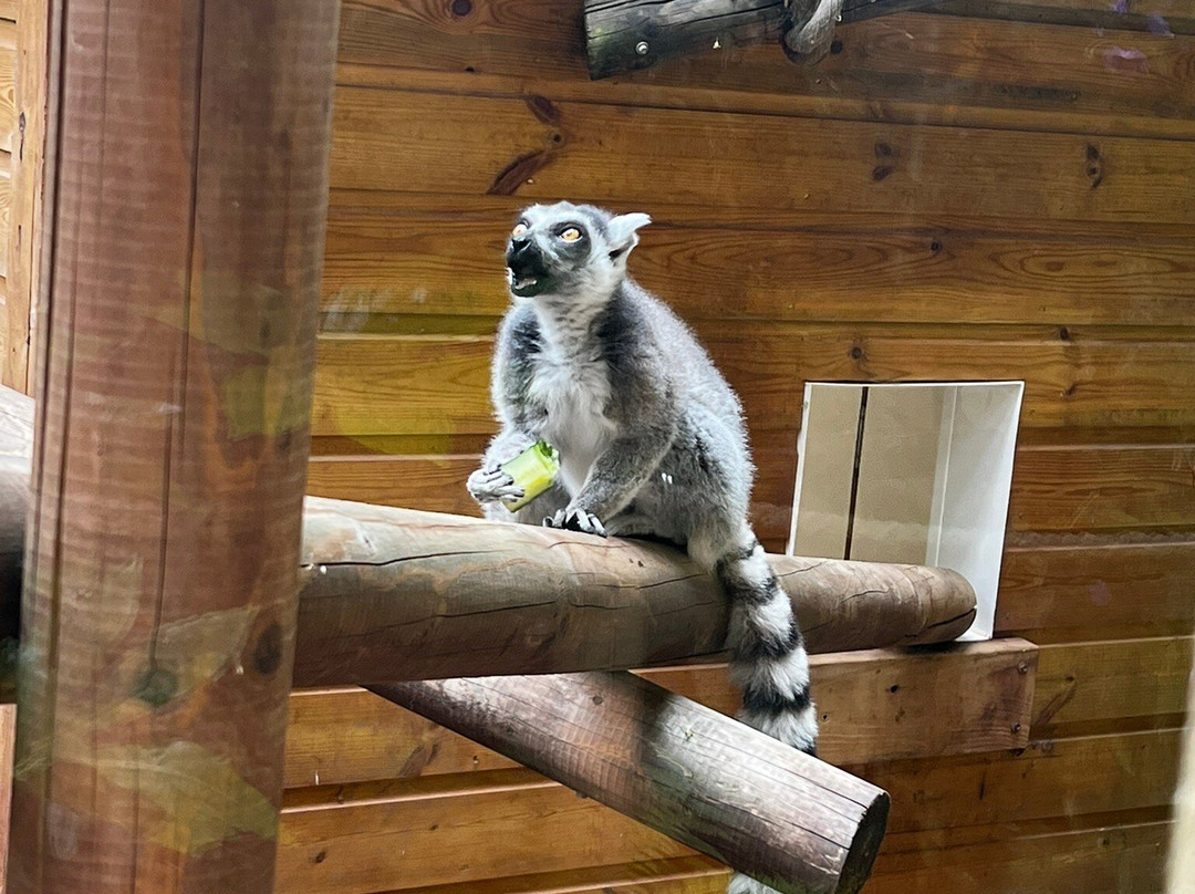 Shaldon Wildlife Trust-Shaldon必去景点
