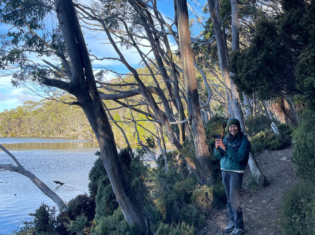 Lake Dobson景点图片