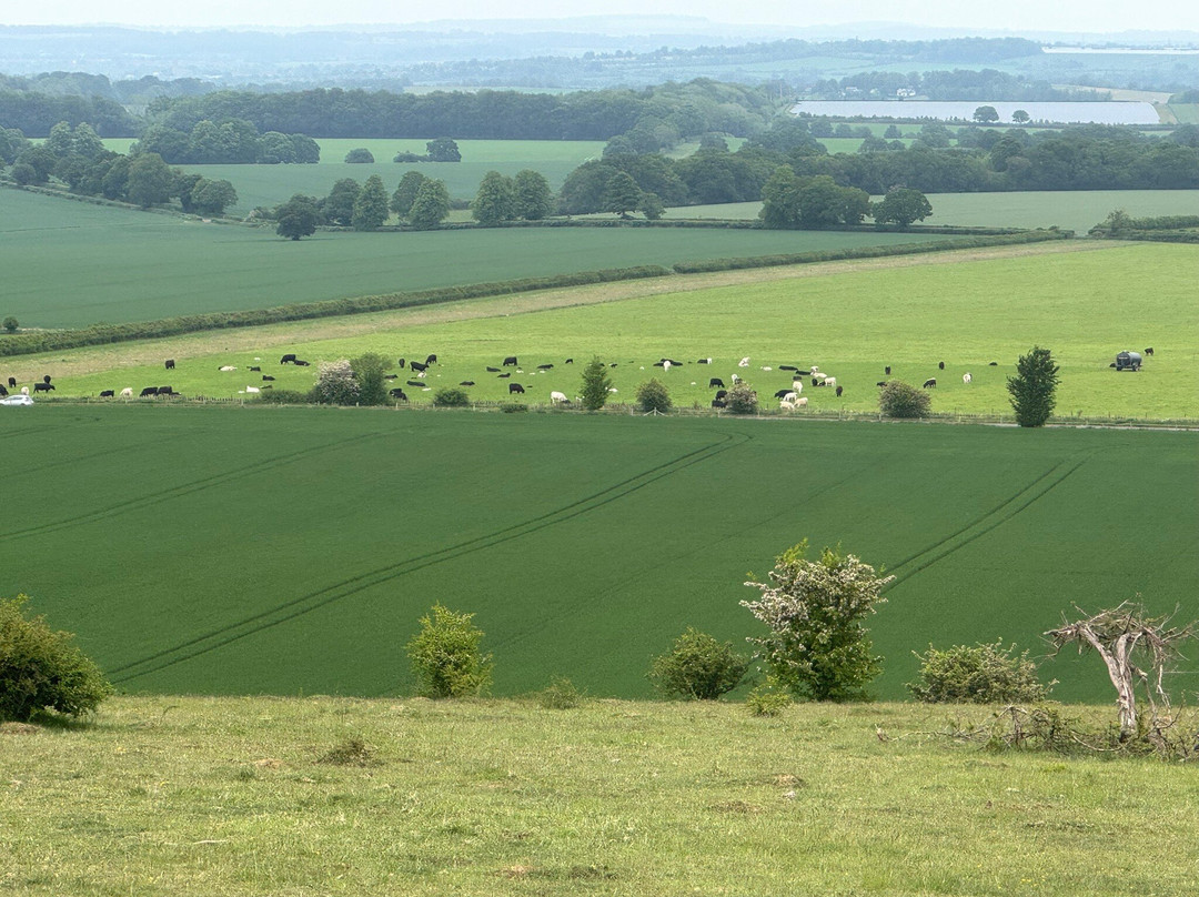 Danebury Iron Age Hill Fort-Nether Wallop必去景点