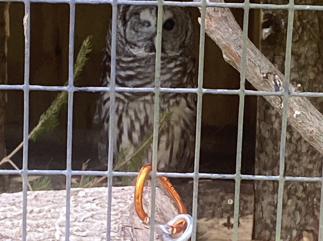 Binder Park Zoo-Battle Creek必去景点